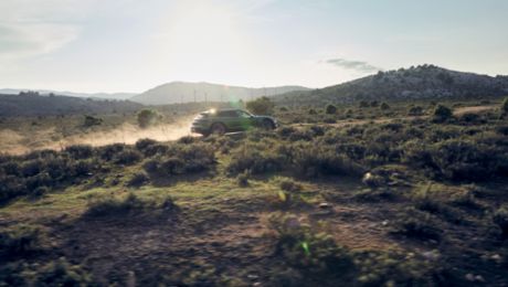 Survey: Sustainability needs dialogue