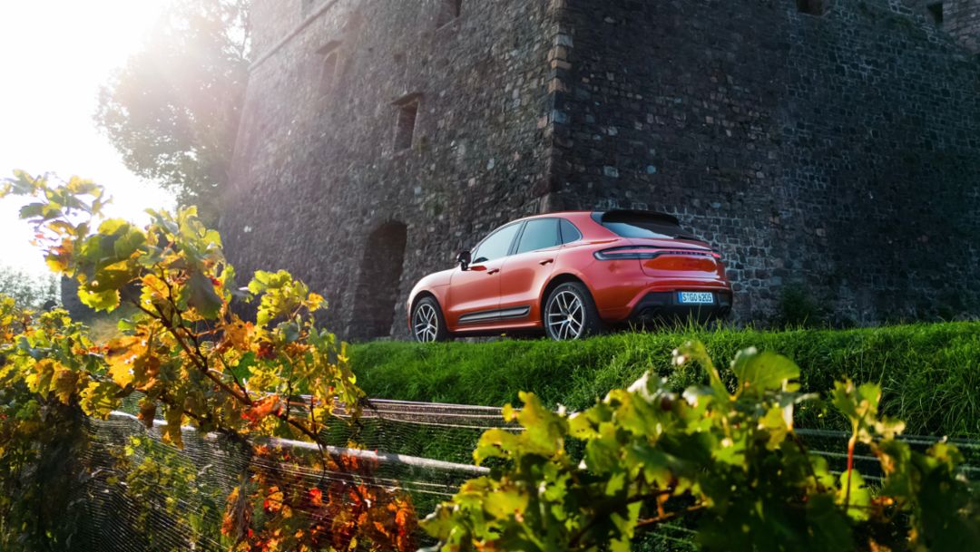 Einer für jeden Geschmack