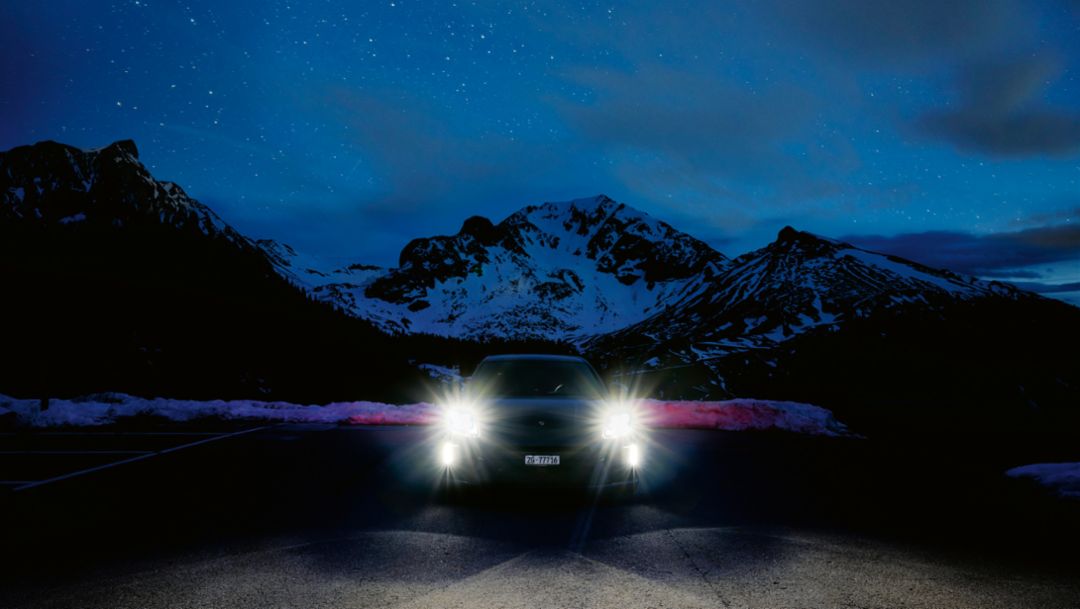 Un oiseau de nuit à l’œil d’aigle